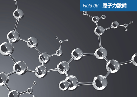 Field 06 原子力設備